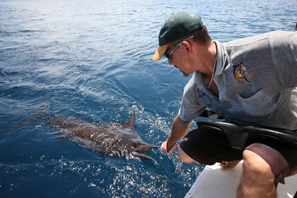 Feds put stopper on gamefish slaughter